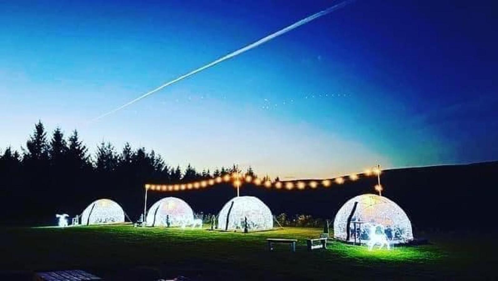 Afan Forest Retreat Cozy Getaway, Pet Friendly Cymmer 外观 照片
